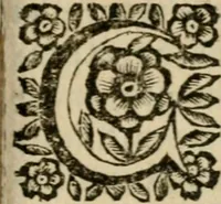An illustration from La spada di honore : libro primo delle Osseruazioni caualeresche (1672)
