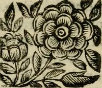 An illustration from La spada di honore : libro primo delle Osseruazioni caualeresche (1672)