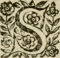 An illustration from La spada di honore : libro primo delle Osseruazioni caualeresche (1672)
