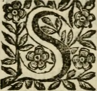 An illustration from La spada di honore : libro primo delle Osseruazioni caualeresche (1672)
