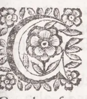 An illustration from La spada di honore : libro primo delle Osseruazioni caualeresche (1671)