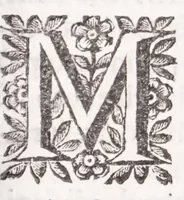 An illustration from La spada di honore : libro primo delle Osseruazioni caualeresche (1671)