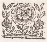 An illustration from La spada di honore : libro primo delle Osseruazioni caualeresche (1671)