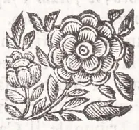 An illustration from La spada di honore : libro primo delle Osseruazioni caualeresche (1671)