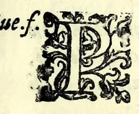 An illustration from La spina : comedia (1592)