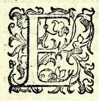 An illustration from La spina : comedia (1592)