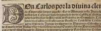 An illustration from Las pregmaticas y capitulos que Su Magestad del emperador y rey nuestro señor hizo en las cortes de Ualladolid, el año de mil [y] quinientos [y] treynta y siete. : Con la declaracion que sobre los trajes y sedas hizo. (1545)
