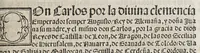 An illustration from Las pregmaticas y capitulos que Su Magestad del emperador y rey nuestro señor hizo en las cortes que se touieron con el serenissimo principe don Phelippe nuestro señor, en su nombre. : En Ualladolid. Año de mill y quinientos quarenta y ocho. Uan añadidas las pregmaticas de los arrendadores del pan, y la pena de los reuendedores, que es la mesma que han de auer los arrendadores que vendieren pan alguno de lo que ouieren de rentas. (1549)