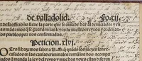 An illustration from Las pregmaticas y capitulos que Su Magestad del emperador y rey nuestro señor hizo en las cortes que se touieron con el serenissimo principe don Phelippe nuestro señor, en su nombre. : En Ualladolid. Año de mill y quinientos quarenta y ocho. Uan añadidas las pregmaticas de los arrendadores del pan, y la pena de los reuendedores, que es la mesma que han de auer los arrendadores que vendieren pan alguno de lo que ouieren de rentas. (1549)