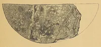 An illustration from Las ruinas de Tinti en el valle de Lerma (provincia de Salta) (1916)