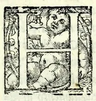 An illustration from L'assivolo : comedia (1550)
