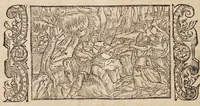 An illustration from Las transformaciones de Ouidio (1589)