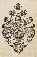 Picture 13 of 16 from Las transformaciones de Ouidio (1589), leaf 298