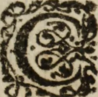 Picture 13 of 13 from L'Astrée (1625), leaf 556