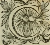 Picture 1 of 33 from L'Astrée (1625), leaf 6
