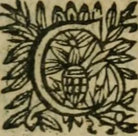 An illustration from L'Astrée (1625)