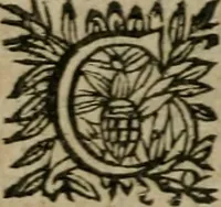 Picture 13 of 50 from L'Astrée (1625), leaf 315