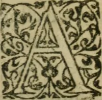 Picture 16 of 50 from L'Astrée (1625), leaf 386