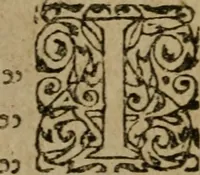 Picture 22 of 50 from L'Astrée (1625), leaf 607