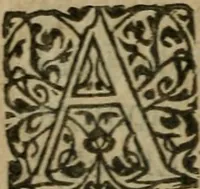 Picture 38 of 50 from L'Astrée (1625), leaf 837