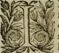 Picture 39 of 50 from L'Astrée (1625), leaf 875