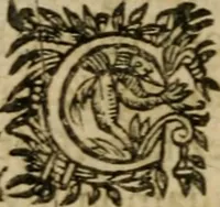 Picture 31 of 36 from L'Astrée (1625), leaf 1143