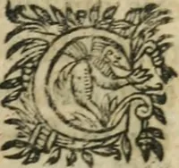 Picture 36 of 36 from L'Astrée (1625), leaf 1310