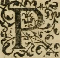 Picture 10 of 36 from L'Astrée (1625), leaf 171