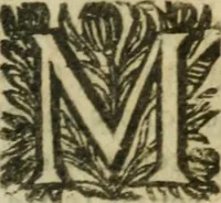 Picture 15 of 36 from L'Astrée (1625), leaf 456