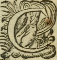 Picture 22 of 36 from L'Astrée (1625), leaf 586