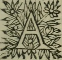 Picture 17 of 42 from L'Astrée (1625), leaf 216