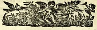 Picture 9 of 15 from La Svltana : commedia (1622), leaf 47