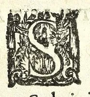 Picture 5 of 15 from La Svltana : commedia (1622), leaf 8