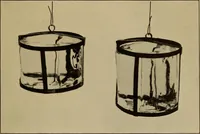 An illustration from Latent heat of fusion of ice (1914)