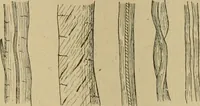 An illustration from La teinture du coton (1912)
