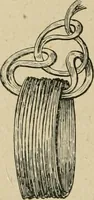An illustration from La teinture du coton (1912)