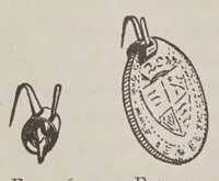 Picture 4 of 18 from Later magic, with new miscellaneous tricks and recollections of Hartz the Wizard (1911), leaf 88