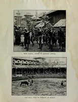 Picture 7 of 7 from The latest and best views of the Pan-American exposition (1901), leaf 37