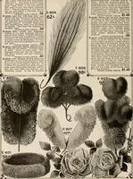 Picture 111 of 176 from latest New York styles for women, misses, (1915), leaf 83