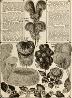 An illustration from latest New York styles for women, misses, (1915)