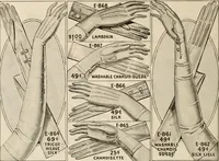 An illustration from latest New York styles for women, misses, (1915)