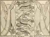 An illustration from latest New York styles for women, misses, (1915)