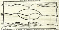 An illustration from La tiberiade di Bartole da Sasferrato, del modo di dividere l'alluuioni, l'isole, & gl'aluei (1587)