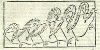 Picture 17 of 53 from La tiberiade di Bartole da Sasferrato, del modo di dividere l'alluuioni, l'isole, & gl'aluei (1587), leaf 91
