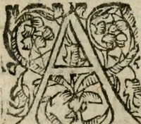 An illustration from La toyson d'or, ov, La flevr des thresors, en laqvelle est svccinctement & methodiquement traicté de la pierre des philosophes, de son excellence, effects & vertu admirable : plvs, de son origine & du vray moyen de pouuoir paruenir à perfection ... (1612)