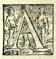 Picture 7 of 10 from La trinvtia : commedia (1593), leaf 49