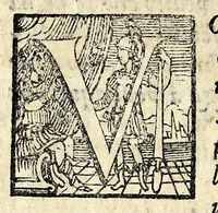 An illustration from La trinvtia : commedia (1593)
