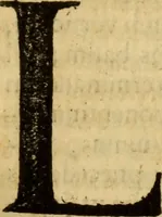 An illustration from Laurentii Bellini Opuscula aliquot Ad Archibaldum Pitcarnium Professorem Lugduno-Batavum (1695)