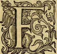An illustration from Laurentii Bellini Opuscula aliquot Ad Archibaldum Pitcarnium Professorem Lugduno-Batavum (1695)