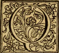 An illustration from Laurentii Bellini Opuscula aliquot Ad Archibaldum Pitcarnium Professorem Lugduno-Batavum (1695)